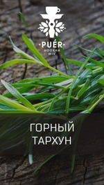 Puer Hookah - Mountain Tarragon (100g)