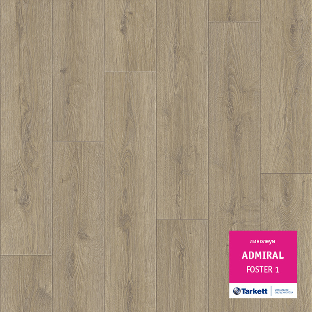 Линолеум Tarkett ADMIRAL FOSTER 1, Ширина рулона: 2,5м