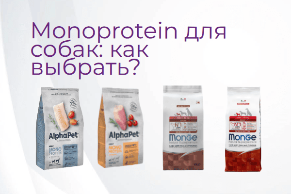 Монопротеиновые корма с рыбой для собак: как выбрать при проблемах ЖКТ, аллергии и кожных нарушениях