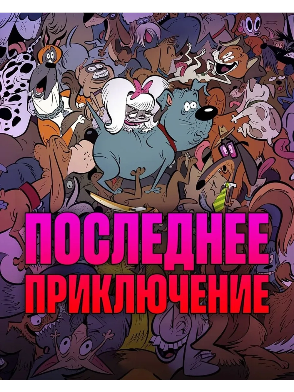 Последнее приключение (2025) (DVD-R)