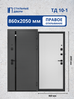 Входная дверь ТД 10-1