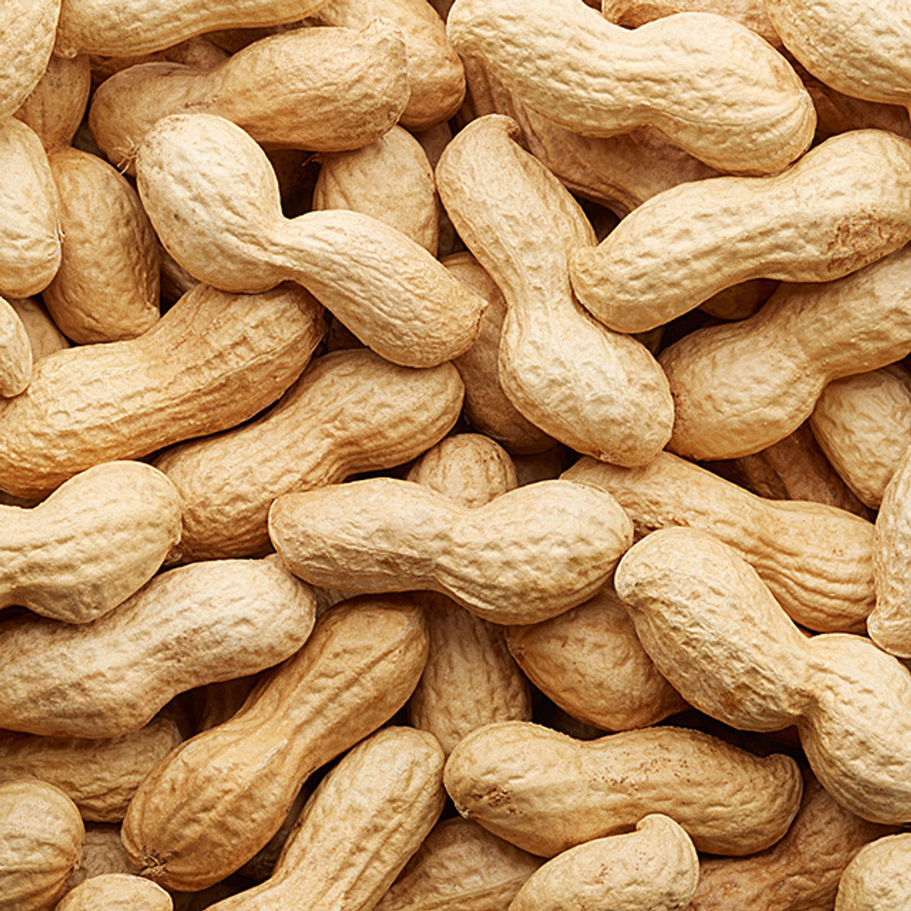 Арахис в скорлупе купить в интернет магазине