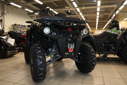 Квадроцикл PROMAX RENEGADE 300 LONG WINCH PRO (2025)