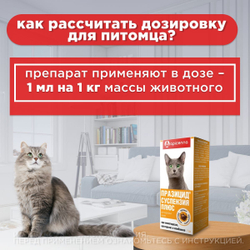 Суспензия для кошек от гельминтов и лямблий Празицид Плюс APICENNA, 7мл. Фебантел/Пирантел/ Празиквантел