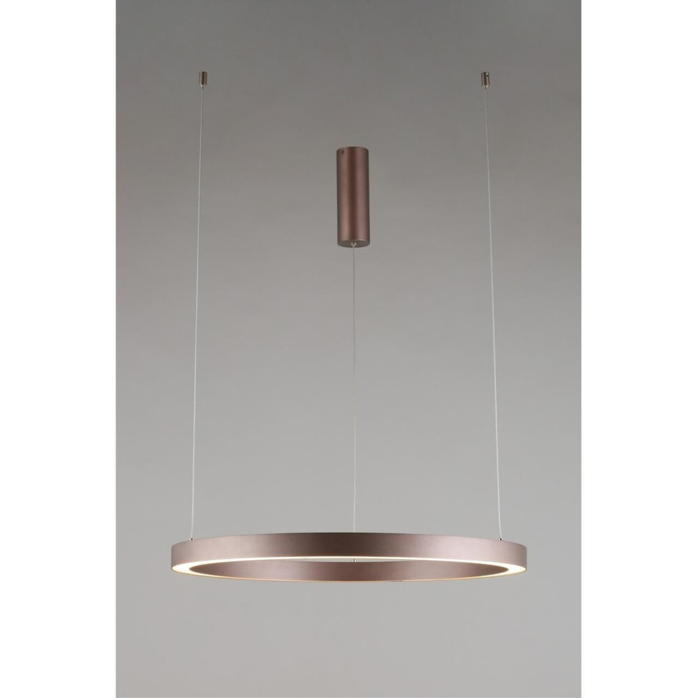 Подвесная светодиодная люстра Aployt Nisia APL.025.03.48