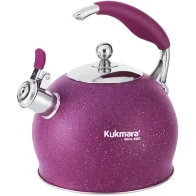 Чайник из нержавеющей стали, со свистком,3л, MYSTERY