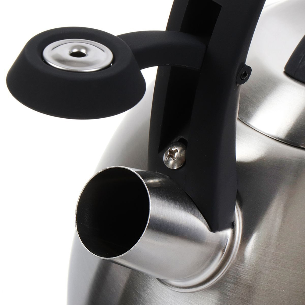 Чайник нерж, 2.7 л, свист, ручк бакелит, с силик покр, Daniks, индукц, стальной, M-085