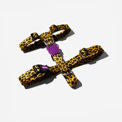 Шлейка HONEY Zee.Dog