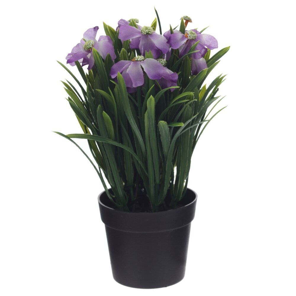 GAEM Цветочная композиция, L18 W18 H26 см