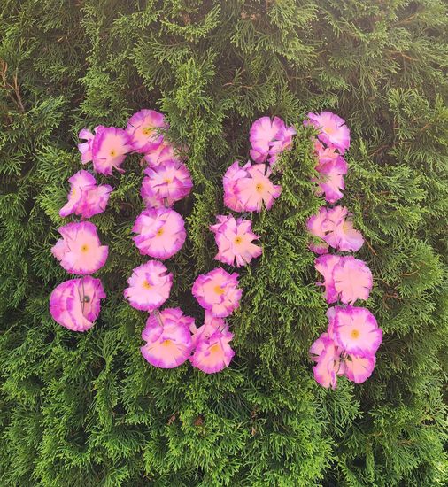 Гирлянда из цветов крупных, темно-розовая