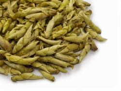 59203 Чай белый почки с пуэрных деревьев "Гушу Я бао"