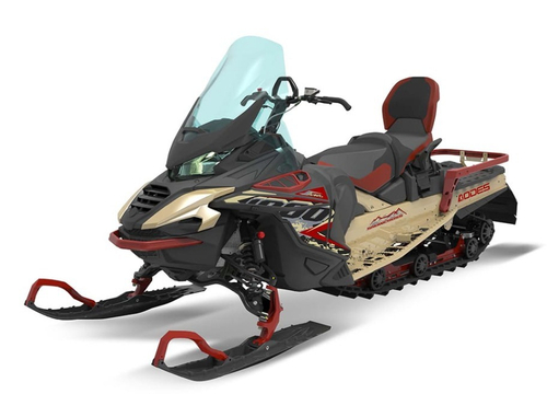 Снегоход АОДЕС Snowcross 1000 WT