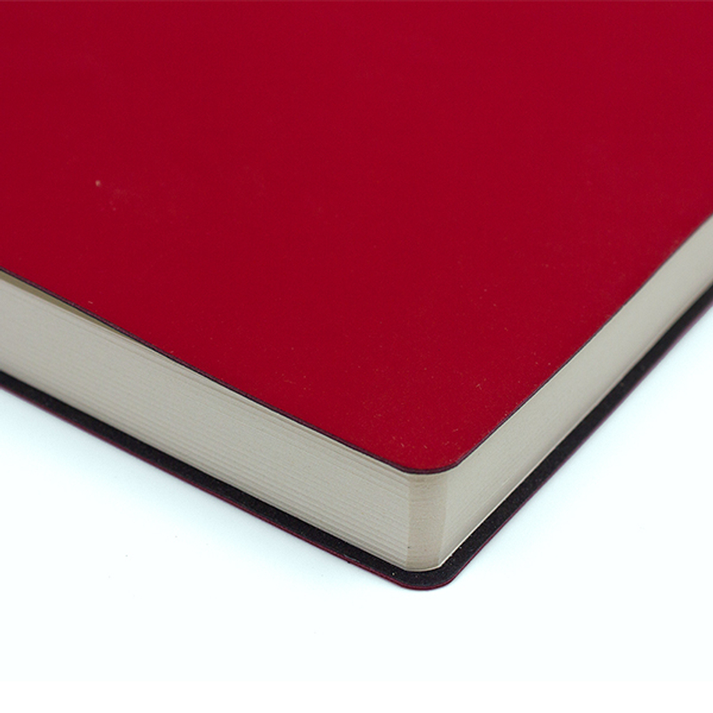 НОВИНКА! Бизнес-тетрадь А4 в клетку BIG BOSS red, 128 листов, гибкая обложка - красный Softtach