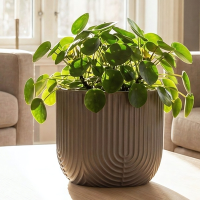 Кашпо РАМОНА D180 мм 1,9 л со вставкой 18*18*16,5см М3261