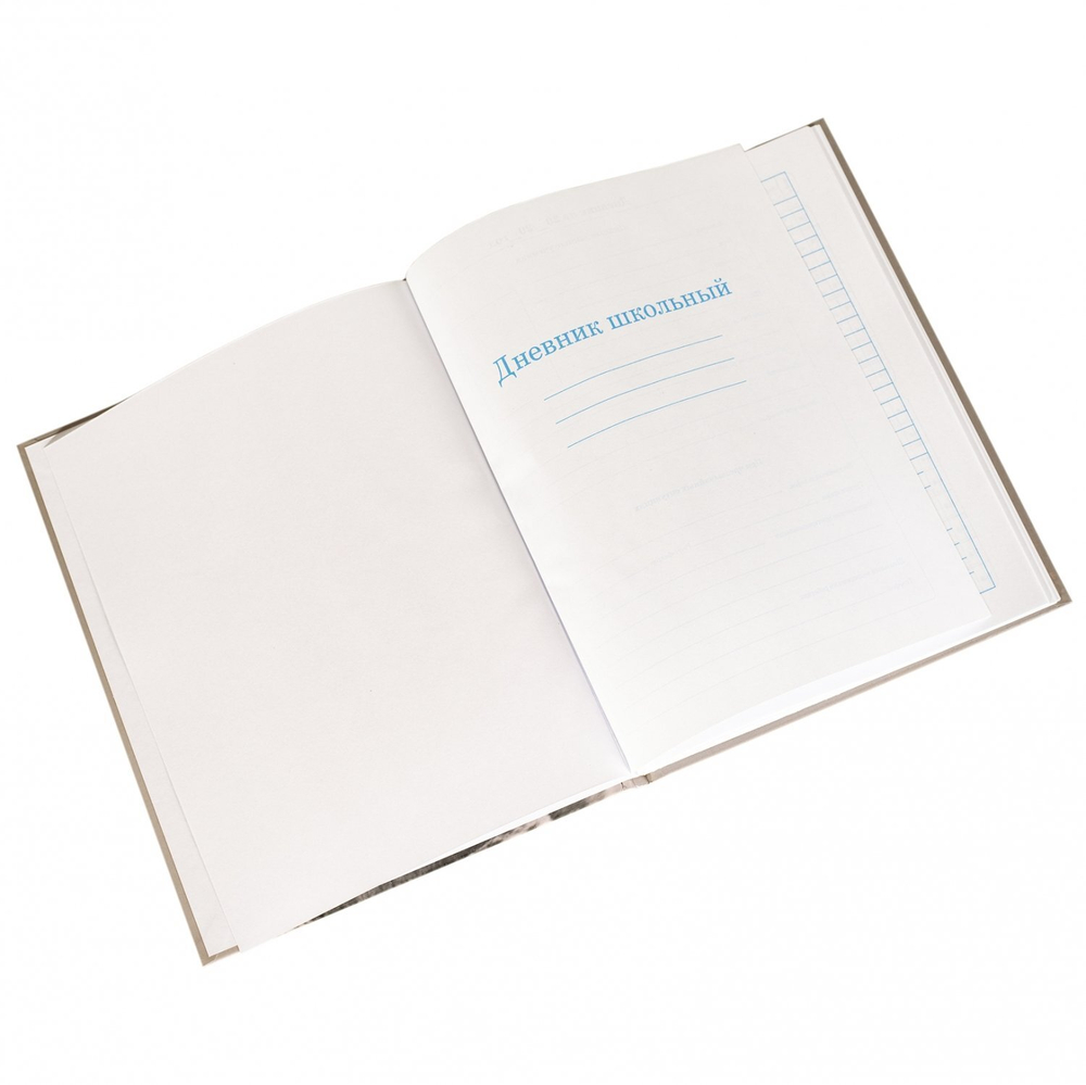 Дневник школьный Alingar, 1-11 кл., 48л.,7БЦ, матовая ламинация, поролон, выб УФ лак, "Luxury and prestige"