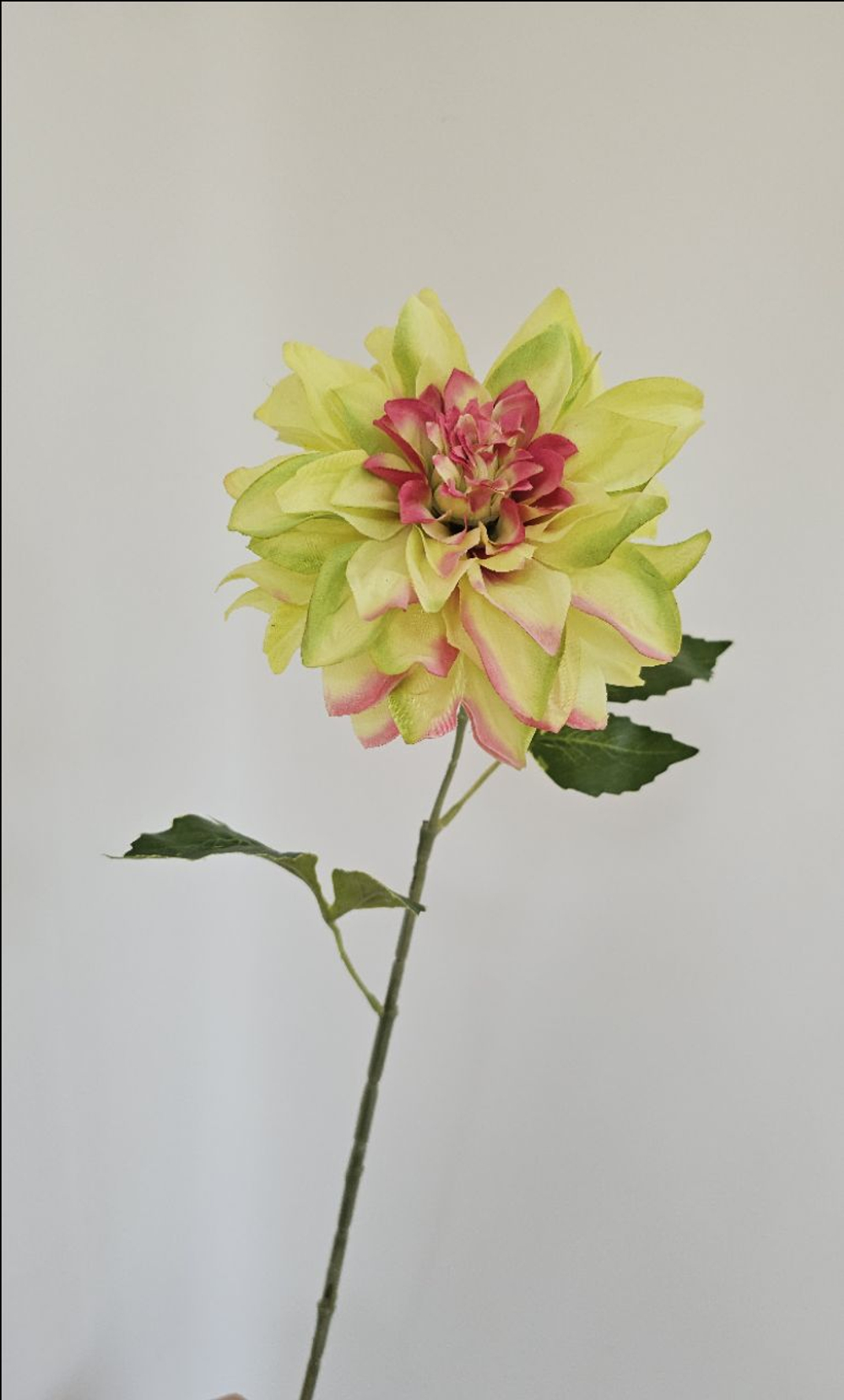 Георгин / Арт 2475