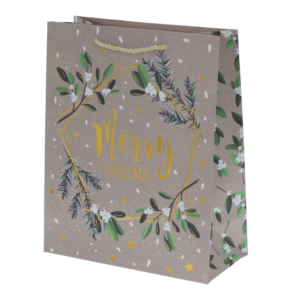 GAEM Пакет подарочный (бумага 210г/м2, блок 12шт), L26 W12 H32 см, 4в.