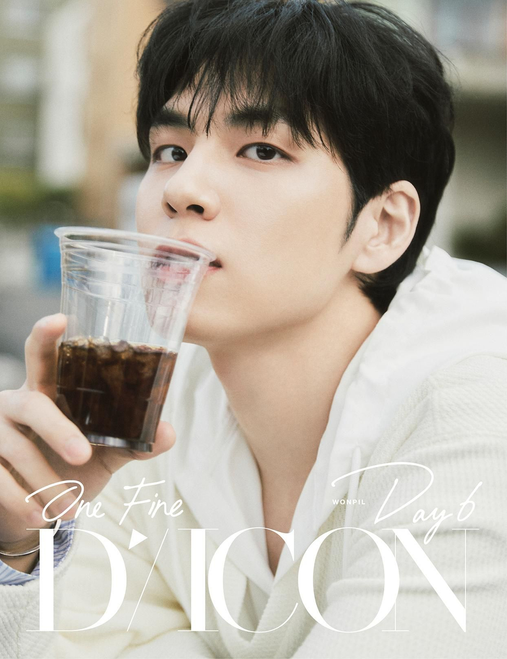 публикация DICON - VOLUME N 27 PERFECT DAY6 WONPIL A Type