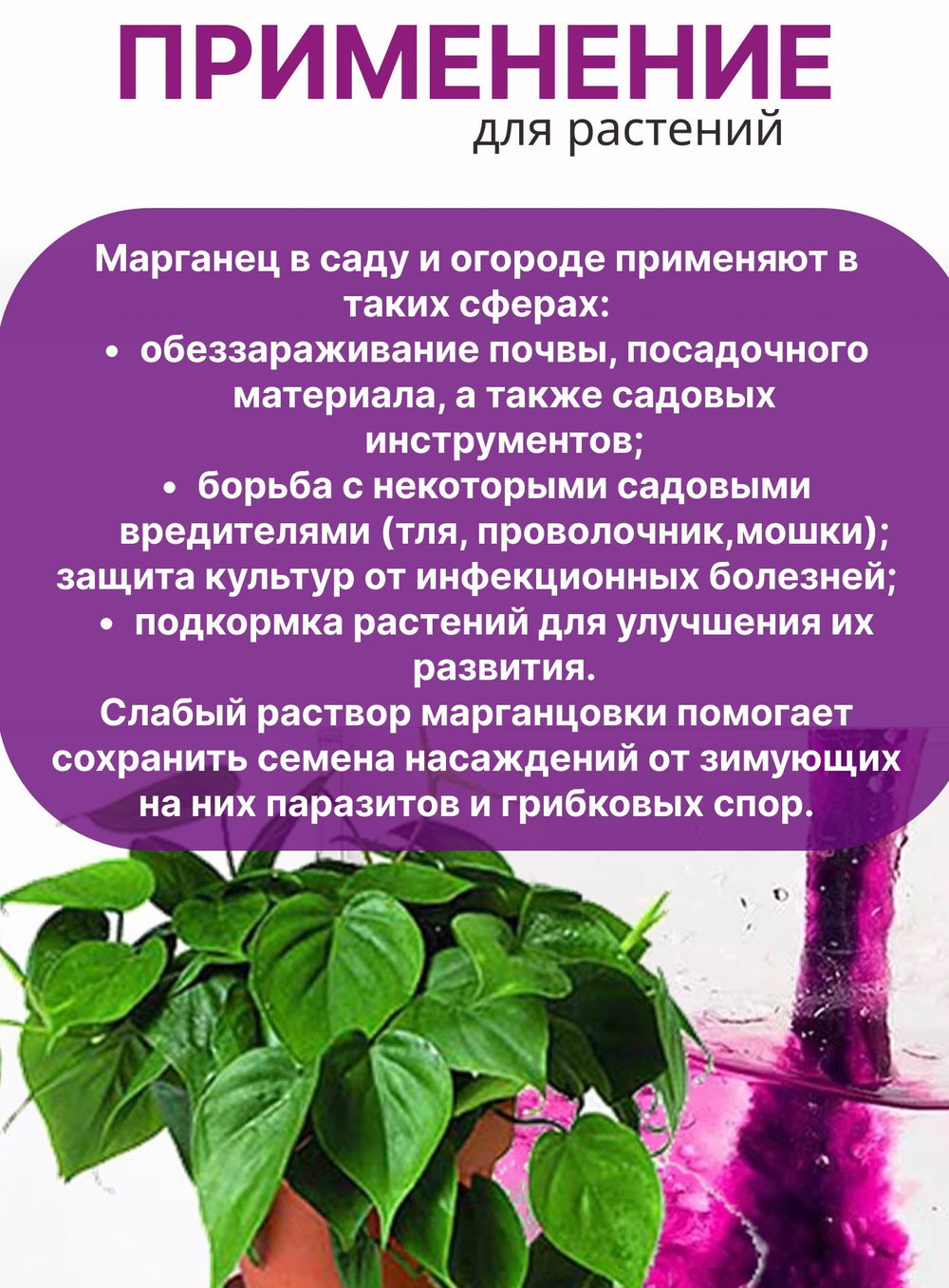 Марганцовка для растений перманганат магния 44,5%, 10 гр.