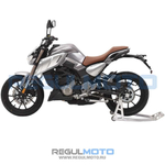 Мотоцикл Regulmoto ALIEN MONSTER 300