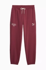 Штаны Puma Team