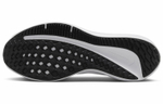 Кроссовки Nike Air Winflo 10