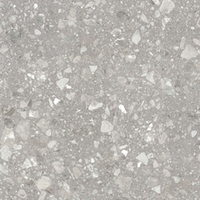 Terrazzo matt grey PG 01 600х600 (1-й сорт)