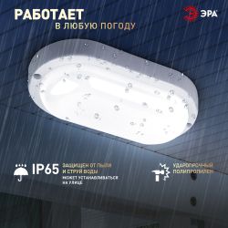 Светильник ЖКХ светодиодный ЭРА SPB-202-0-65K-015 IP65 15Вт 6500K 195х95 овал | Светильники для ЖКХ IP65