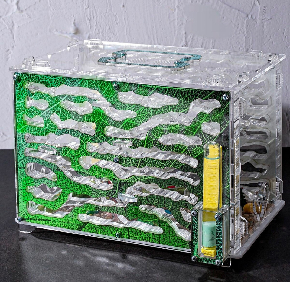 Самый Большой Формикарий с муравьями в подарок «Экосистема»