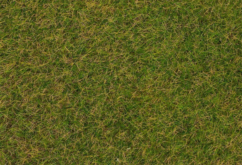 Дикая трава (флок), раннелетний луг, 4 мм, 80 г