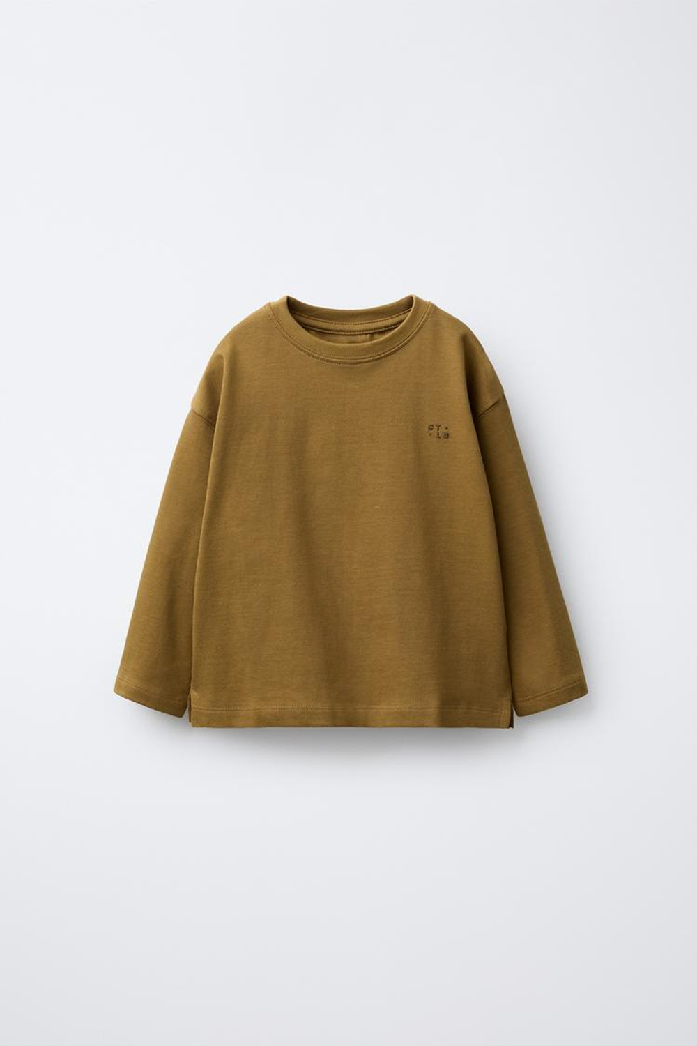 ZARA ФУТБОЛКА HEAVYWEIGHT С ВЫШИВКОЙ, НЕЖНО-КОРИЧНЕВЫЕ ОТТЕНКИ