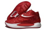 Кроссовки Nike Kd 14 Tb 14