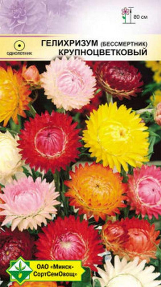 Гелихризум "Крупноцветковый" 0.3г., Германия. Гелихризум "Крупноцветковый" 0.3г., Германия.