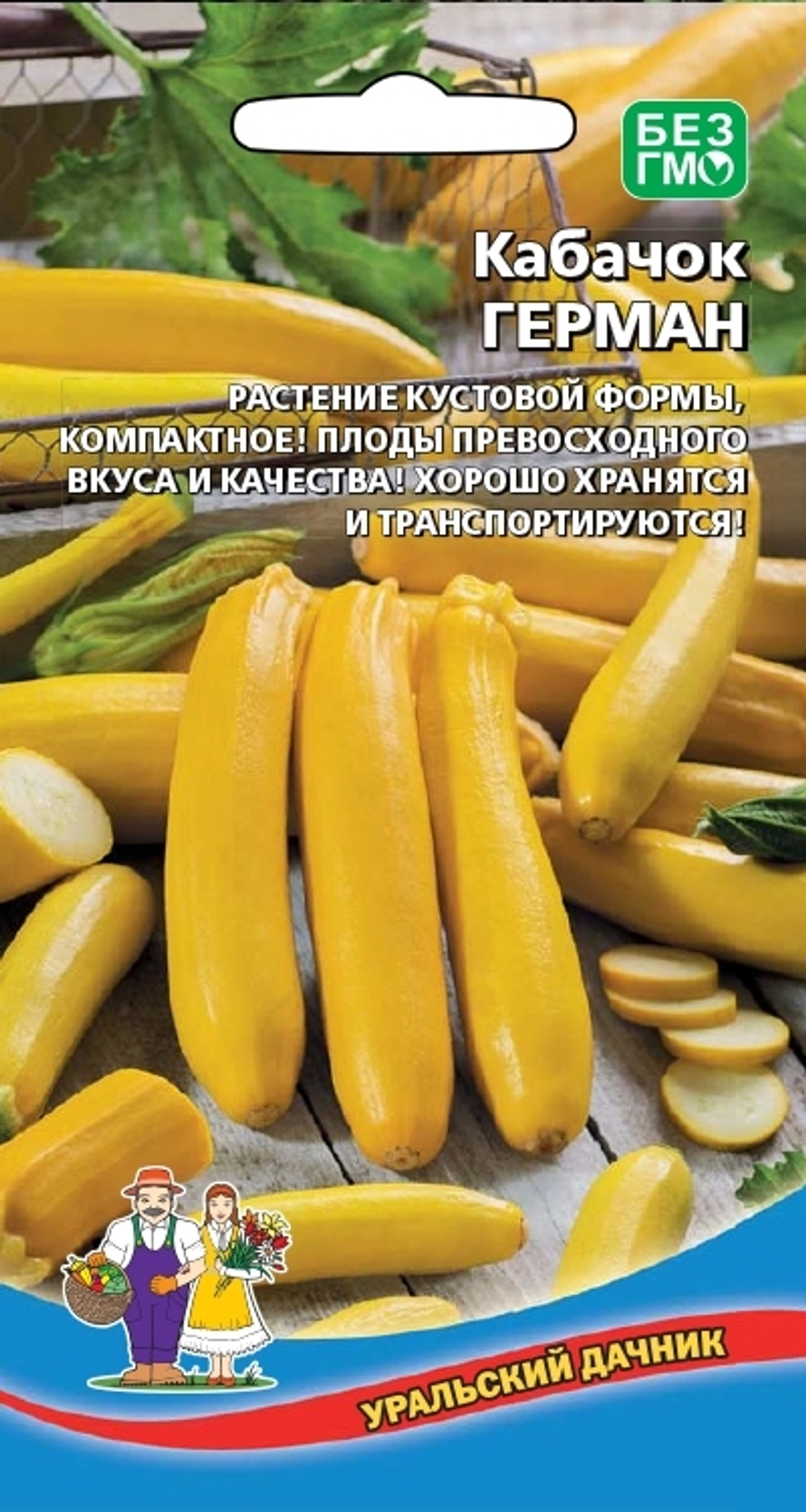 кабачок Герман