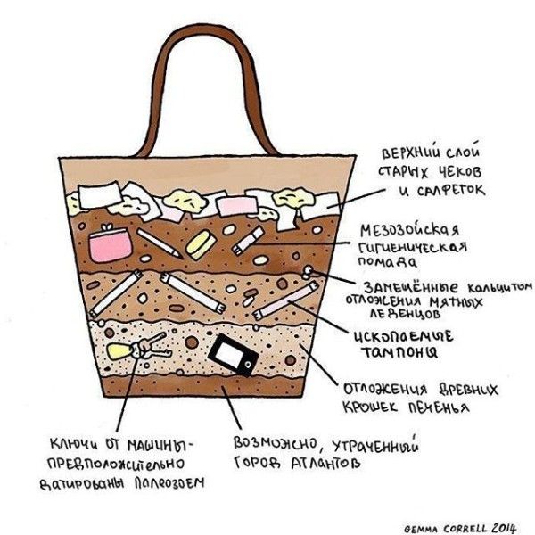 Обзор органайзеров в сумку