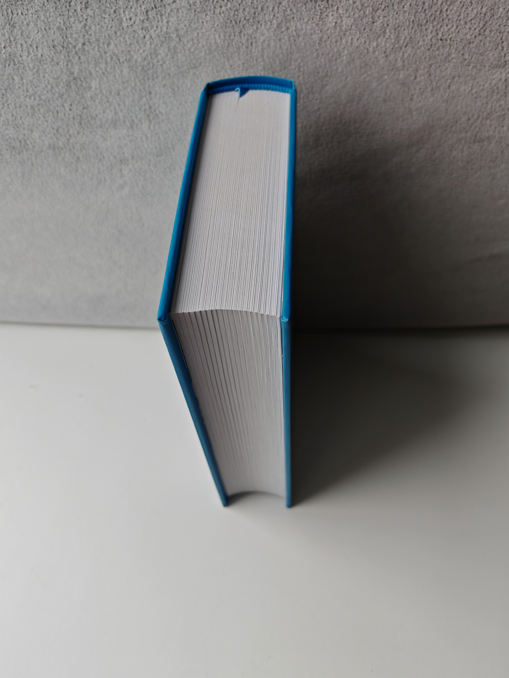 Обнажённая с ружьём