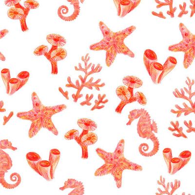 Морской риф с морской звездой и морский коньком