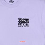  Футболка мужская Dickies Saltville Tee артикул:DK0A4YR9H181 - купить в магазине Дайс