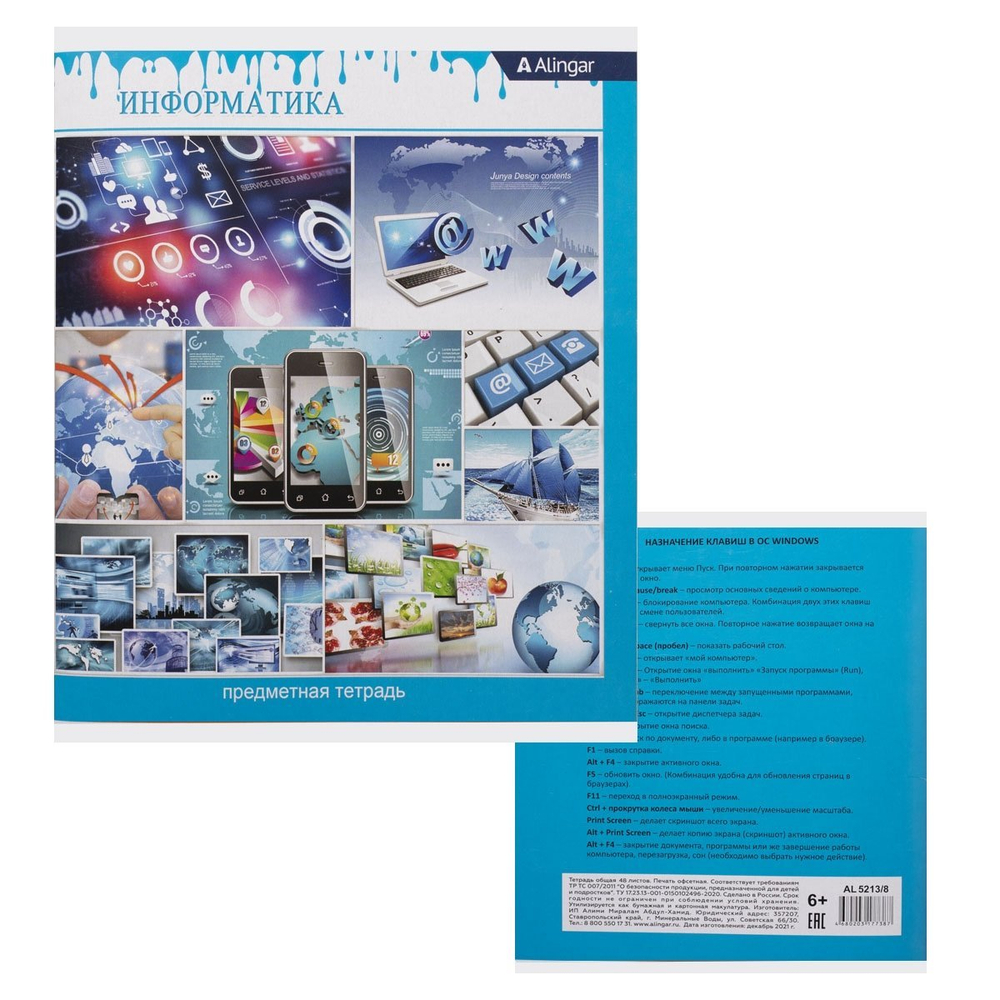 Комплект предметных тетрадей А5 48л., 12 предметов, со справочным материалом, скрепка, мелова. картон (стандарт), блок офсет, Alingar "Мир вокруг нас"