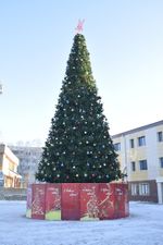 Уличная елка ствольная "Альпийская" (пвх) от 3 до 22 м