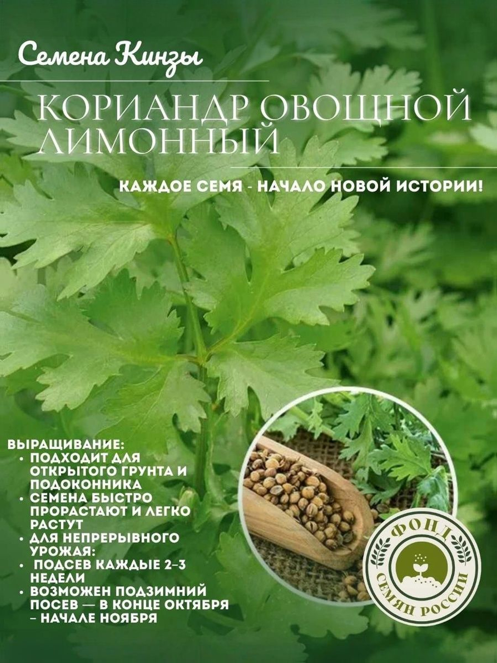 Кориандр Овощной Лимонный, Кинза, Семена 0.5 гр.
