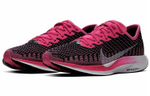Кроссовки Nike Pegasus Turbo 2 (Женская размерная сетка)