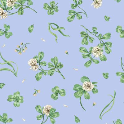 Луговой клевер на голубом фоне