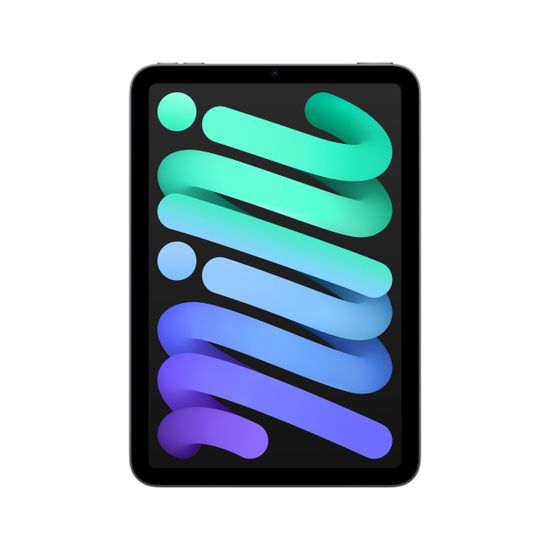 Apple iPad mini 2021 Wi-Fi 256Gb Серый космос Space Gray