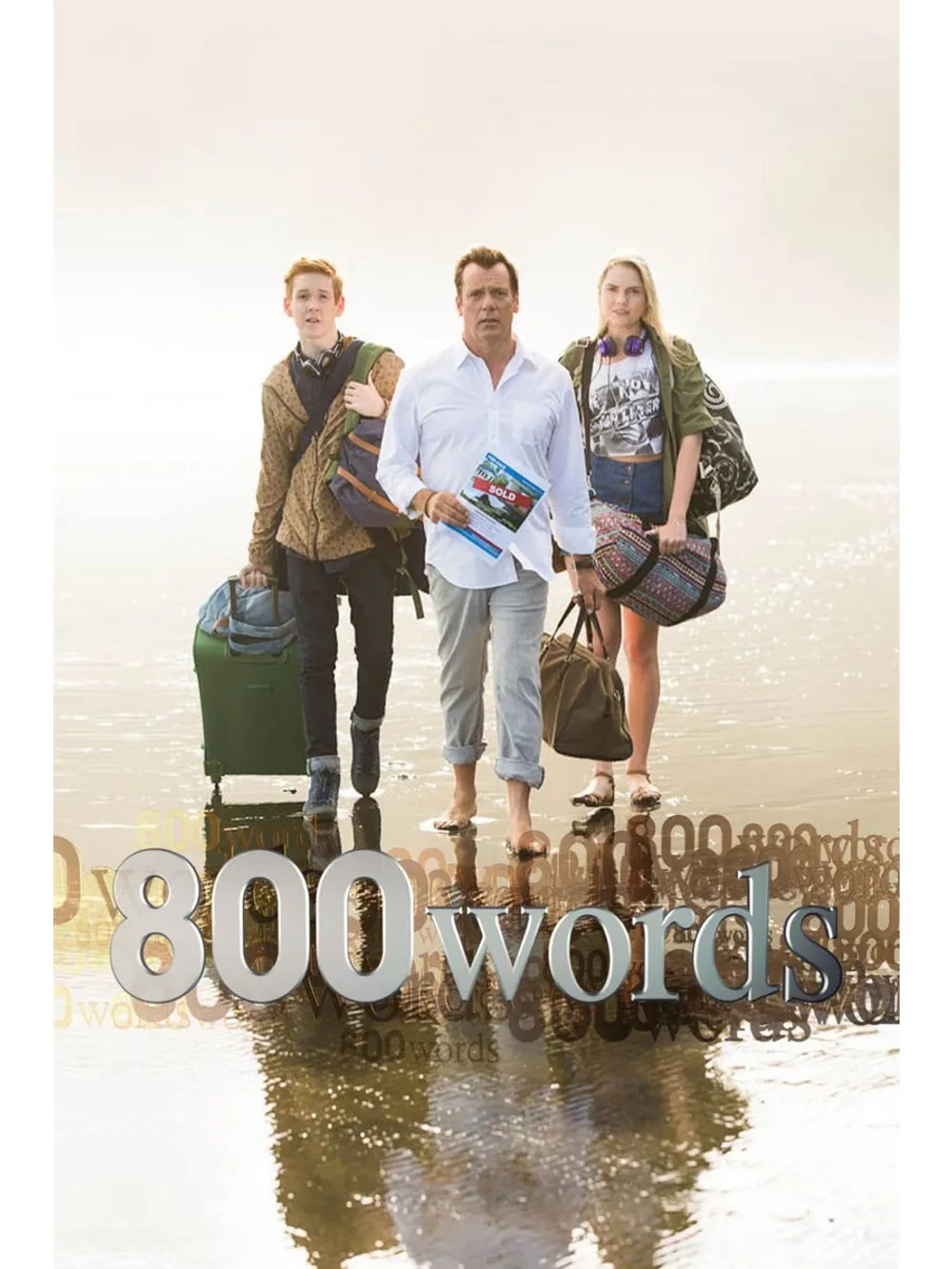 800 слов, 3 сезон (DVD-R)