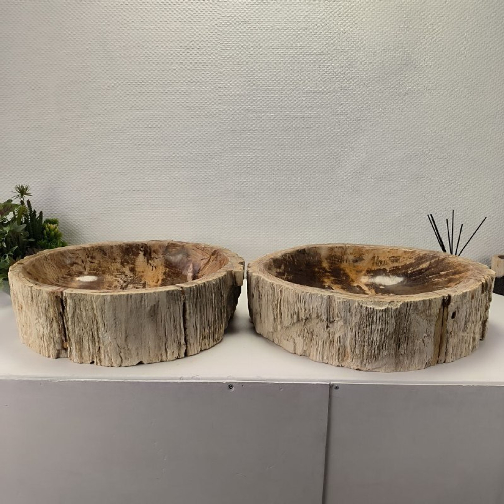 Раковина из окаменелого дерева OD-62102 56*47*15