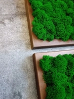 Квадратное панно на стену 20*20 из мха набор 1 шт.