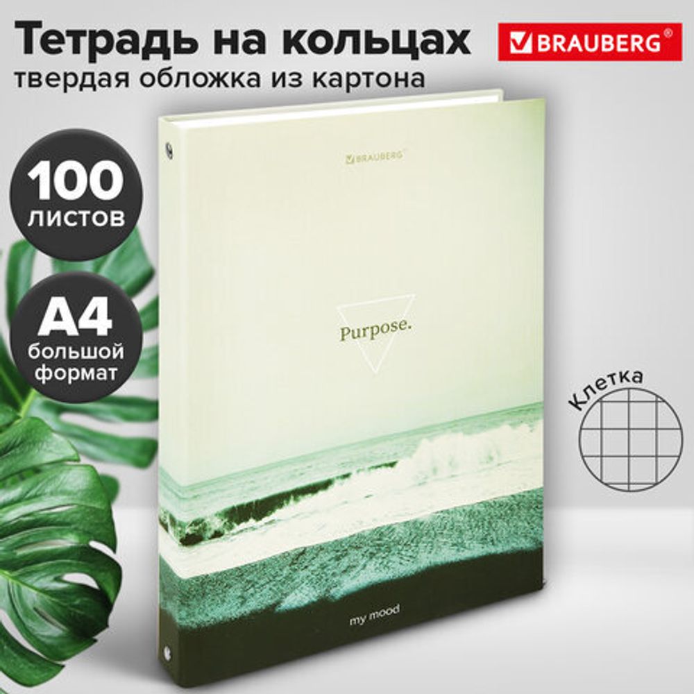 Тетрадь на кольцах БОЛЬШАЯ А4, 215х305 мм, 100 л., твердый картон, клетка, BRAUBERG, "Nature", 405411