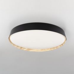 Накладной светильник Citilux BONNY CL754451G