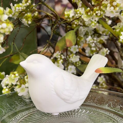 Ночник Птица